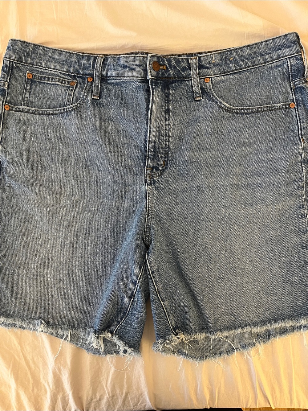 Madewell Light Blue Denim Cutoff Shorts with Frayed Hem 22W